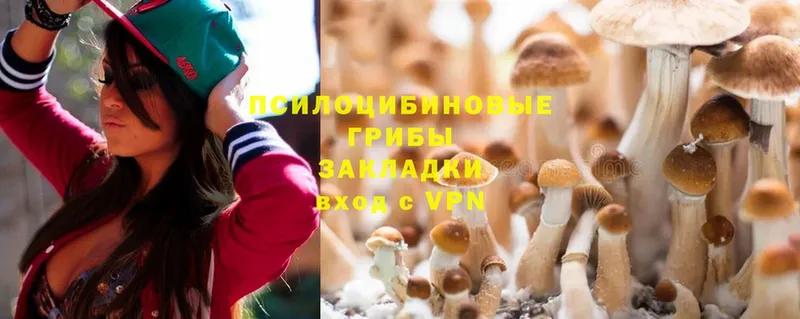 что такое   Духовщина  Галлюциногенные грибы Psilocybe 